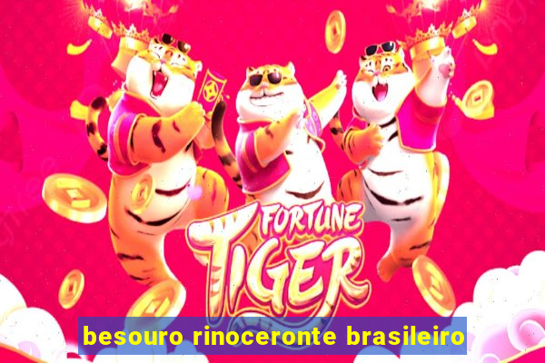 besouro rinoceronte brasileiro